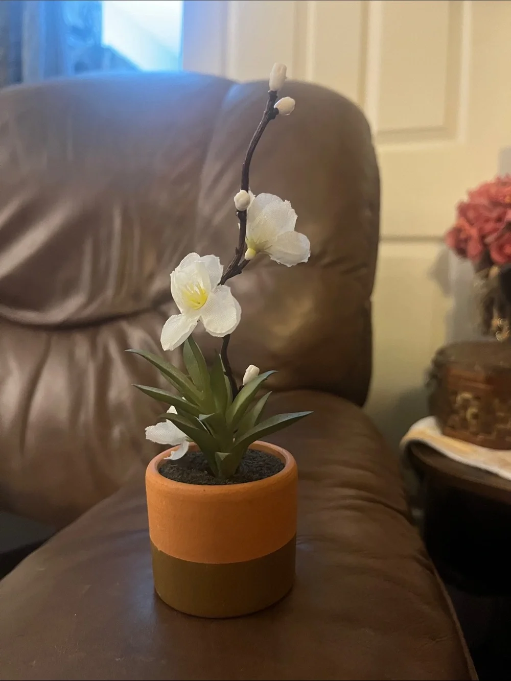 Artificial White Orchid in Two-Tone Terracotta Planter with succulent plant 618